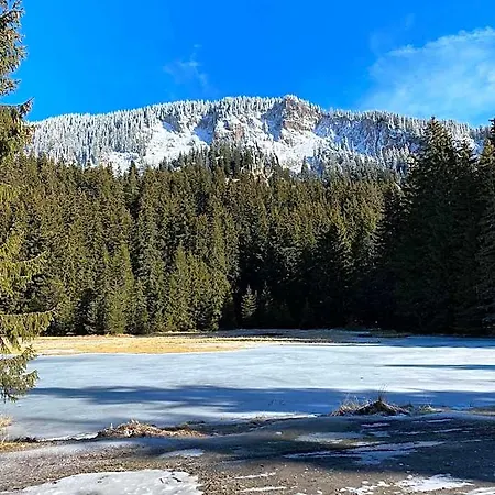 Apartahotel в Mountainlake 4*