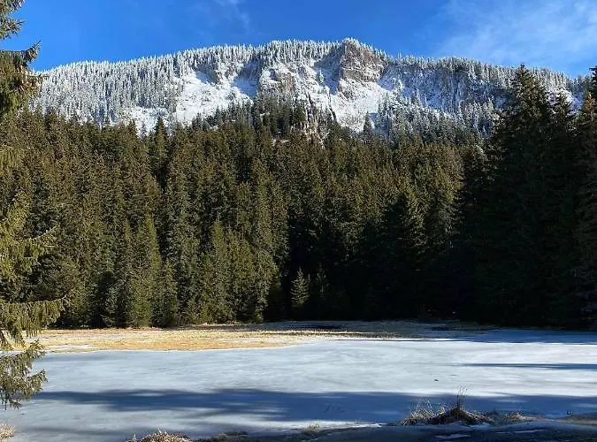 в Mountainlake Aparthotel Smoljan